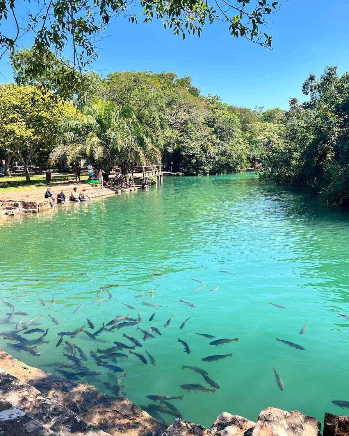 Barra Bonita Pousada Bonito  Eksteriør billede